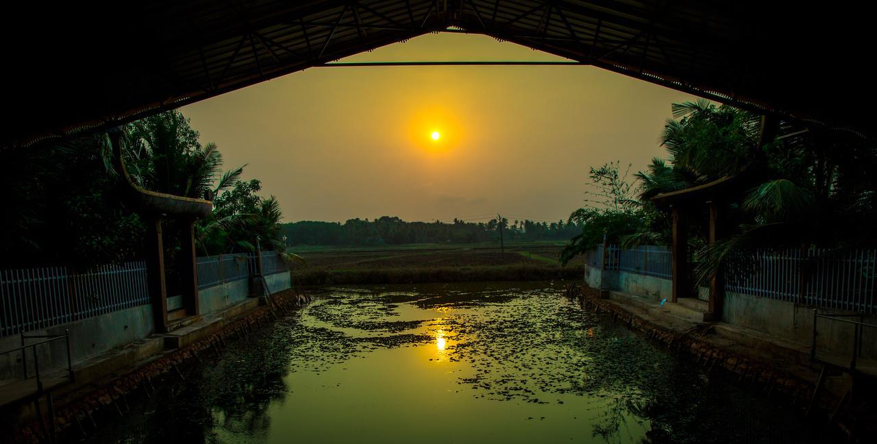 Mango Meadows Hotel Kottayam Luaran gambar